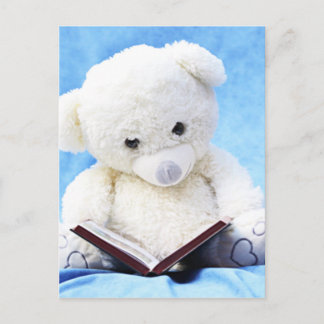 Cartão Postal Linda Leitura de Urso Branco