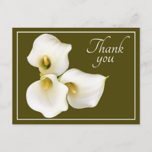 Cartão Postal Linda Lírio Calla Branco Moderno Agradecimento Bot