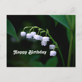 Cartão Postal Linda Lírio do Vale Floral de Aniversário