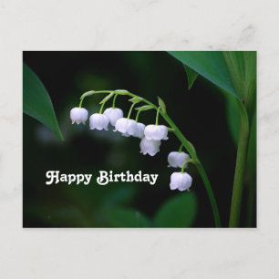 Cartão Postal Linda Lírio do Vale Floral de Aniversário