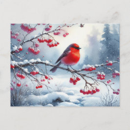 Cartão Postal Linda Pássaro e Paisagem de Inverno 13