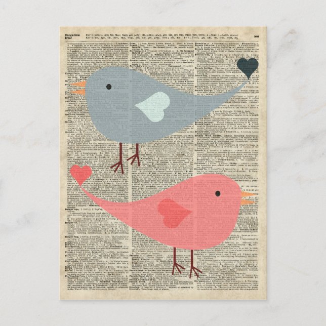 Cartão Postal Linda Pássaros De Cartoon Na Página Do Livro De Vi (Frente)