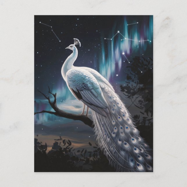 Cartão Postal Linda Pavão Branco Aurora Borealis Cênico (Frente)