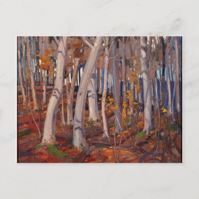 Cartão Postal Linda pintura canadense Tom Thomson White Birches (Frente)