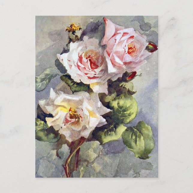 Cartão Postal Linda pintura de aquarela Elegante rosa rosada (Frente)