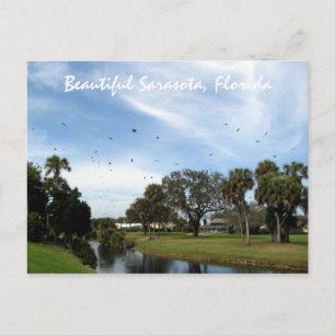 Cartão Postal Linda postagem de Sarasota, Flórida