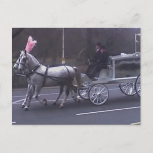 Cartão Postal Linda Vintage Funeral