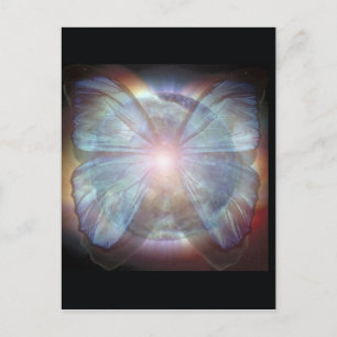 Cartão Postal Lindas Borboletas