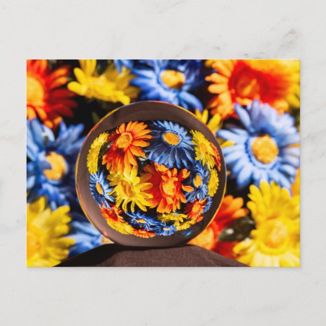 Cartão Postal Lindas Cores de Flores Órbvias (Frente)