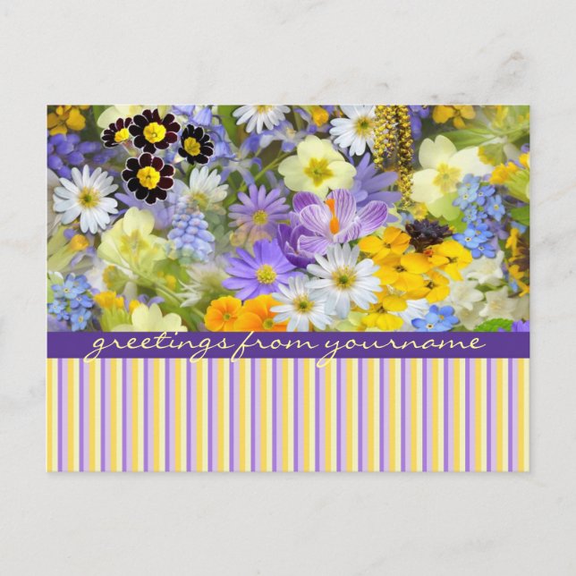 Cartão Postal Lindas Flores de primavera Collage Violet Yellow (Frente)