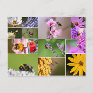 Cartão Postal Lindas flores para primavera e sentimentos de ver