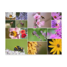 Lindas flores para primavera e sentimentos de verã