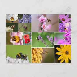 Cartão Postal Lindas flores para primavera e sentimentos de verã