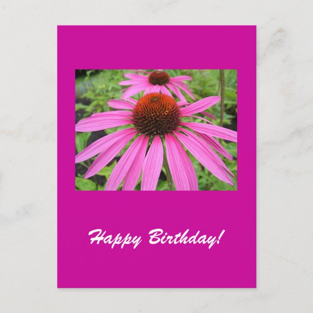 Cartão Postal lindas flores roxas rosa (Frente)