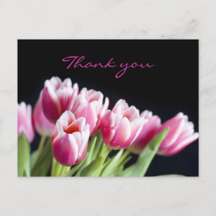 Cartão Postal Lindas Tulipas Rosa