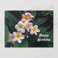 Lindo Aniversário Floral de Plumeria Rosa e Amarel