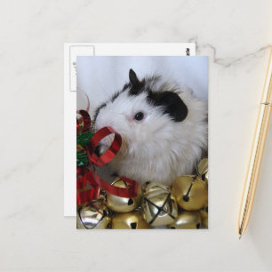 Cartão Postal Lindo Bebê de Porquinho-da-Índia no Natal