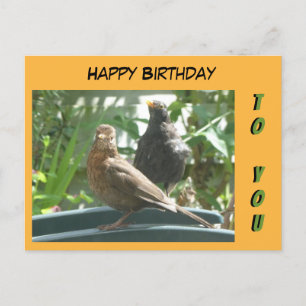 Cartão Postal Lindo cartão-postal de aniversário de casal de mel