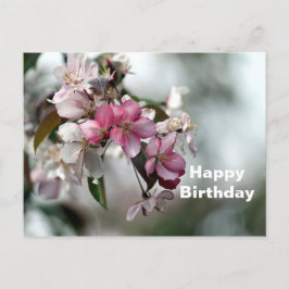 Cartão Postal Lindo Foto Floral de Maçã Rosa de Aniversário