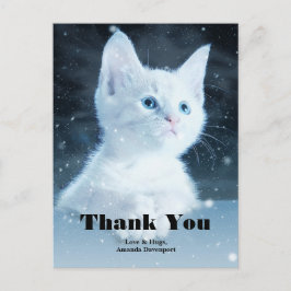 Cartão Postal Lindo gatinho branco com lindos olhos azuis Obriga