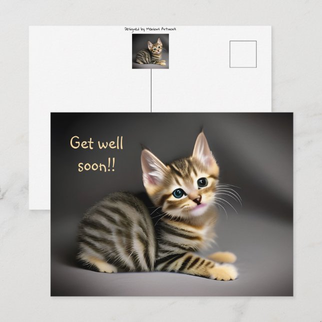 Cartão Postal Lindo gato angorá bebê "se recupere logo"  (Frente/Verso)
