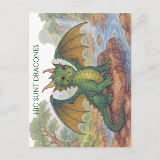 Cartão Postal Lindo pequeno dragão verde