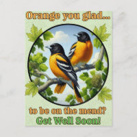 Lindos Baltimore Orioles Cartão-postal de Melhoras