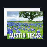 Cartão Postal Lindos Bluebonnets Austin Texas Photoics<br><div class="desc">Uma bela fotografia dos bluebonnets de Austin Texas num campo da natureza faz um postal bonito para um texano que ama flores silvestres. É a flor do estado e traz orgulho de excelente.</div>