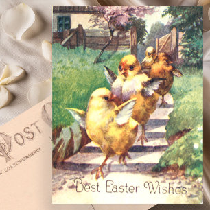 Cartão Postal Lindos Frangos de Páscoa Vintage