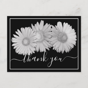 Cartão Postal Lindos Gerbera Daisies Botânico Floral Colorido