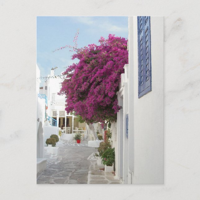 Cartão Postal Lindos Mykonos (Frente)