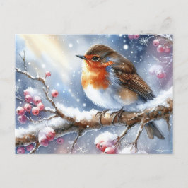 Cartão Postal Lindos Pássaros Paisagem de inverno 13