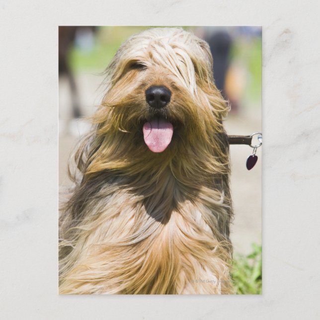 Cartão Postal língua, cabelo comprido, retrato (Frente)