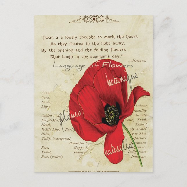 Cartão Postal Língua Vitoriana das Flores (Frente)