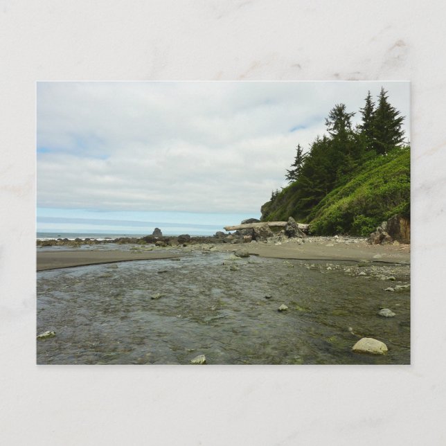 Cartão Postal Linha costeira da Califórnia norte do Parque Redwo (Frente)