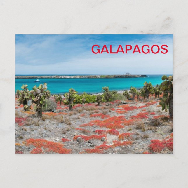 Cartão Postal Linha costeira de Galápagos (Frente)