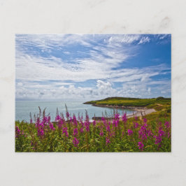 Cartão Postal Linha costeira do Norte de Gales