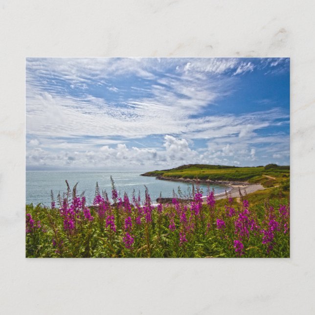 Cartão Postal Linha costeira do Norte de Gales (Frente)