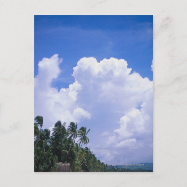 Cartão Postal Linha costeira tropical (Frente)