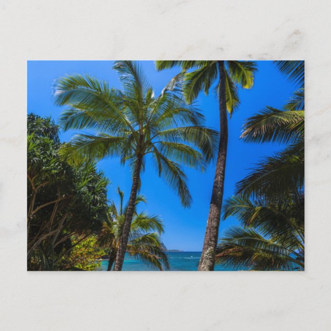 Cartão Postal Linha costeira tropical 2 (Frente)