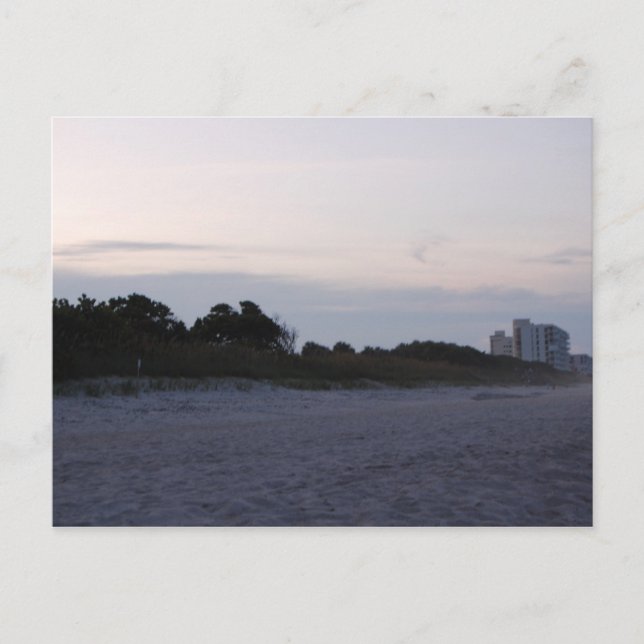 Cartão Postal Linha da costa de praia Florida do cacau (Frente)