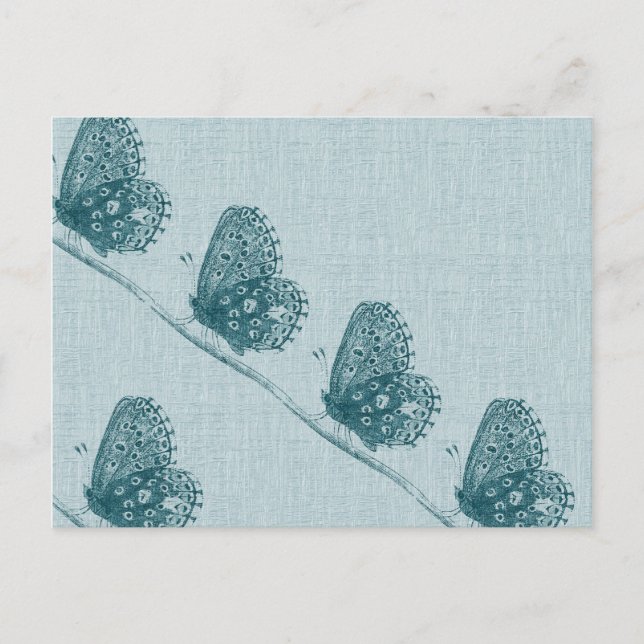 Cartão Postal Linha de Borboletas (Frente)