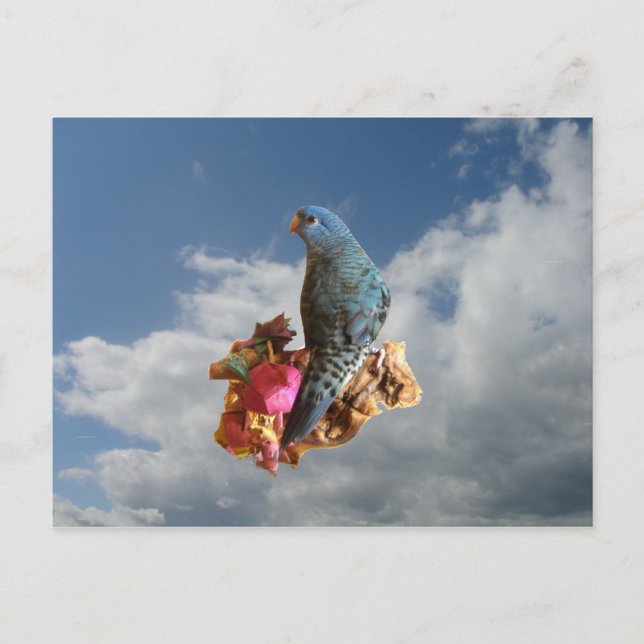 Cartão Postal Linha de cobalto (Frente)