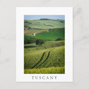 Cartão Postal Linhas curvas no na moda verde da Toscana