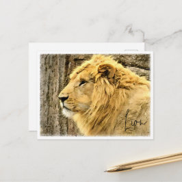Cartão Postal Lion