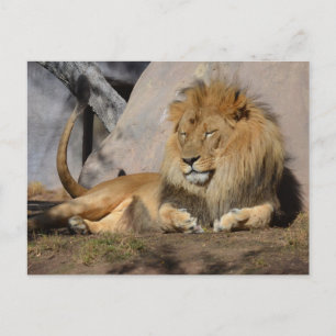 Cartão Postal Lion de soldadura