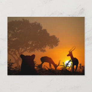 Cartão Postal Lion Hunt