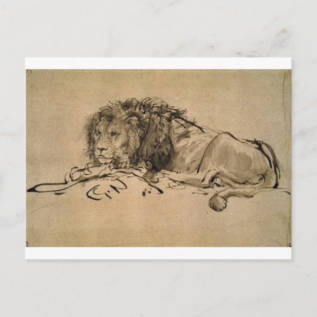 Cartão Postal Lion Resting de Rembrandt (Frente)