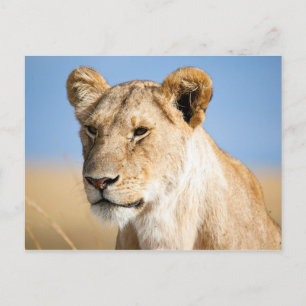 Cartão Postal Lionalidade contra céu azul
