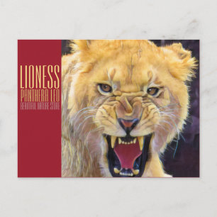 Cartão Postal Lioness [Cartão postal]
